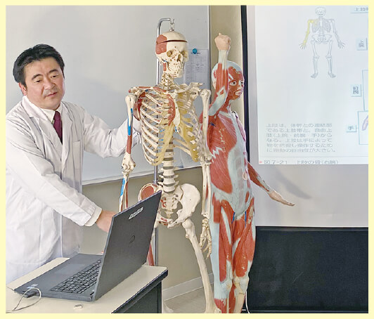 解剖生理学画像